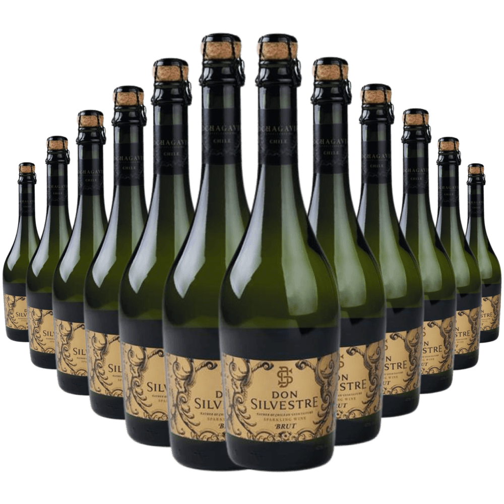 Kit 12 Garrafas Espumante Don Silvestre Brut