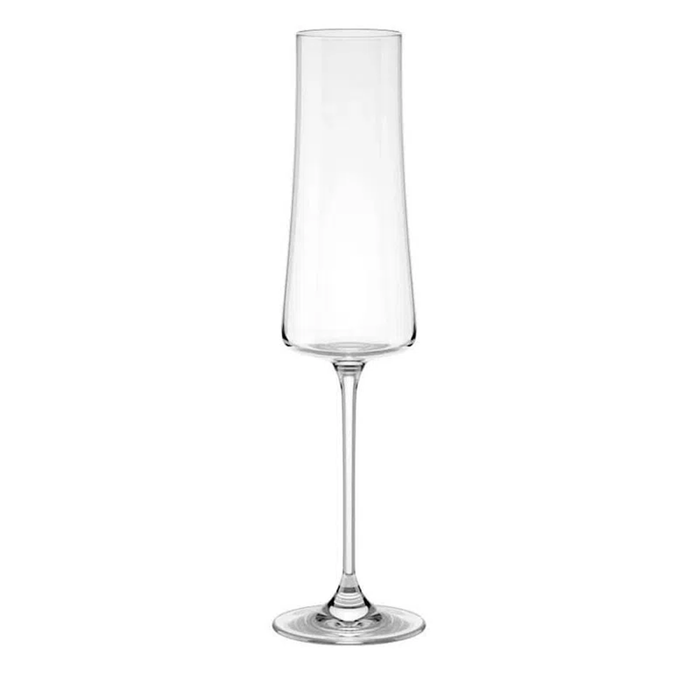 Taça para Espumante Brinox Haus Pleasure 210ml