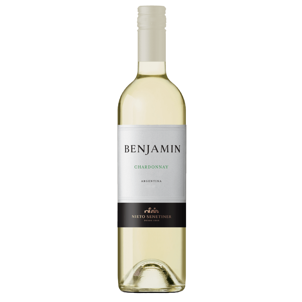 Vinho Branco Argentino Benjamin Chardonnay