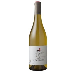 Vinho Branco Chileno La Ronciere Cantoalba Chardonnay