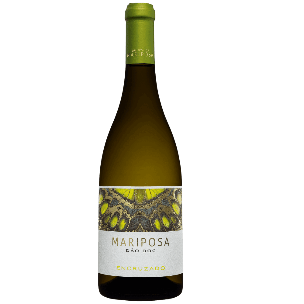 Vinho Branco Português Mariposa Dão D.O.C. Encruzado