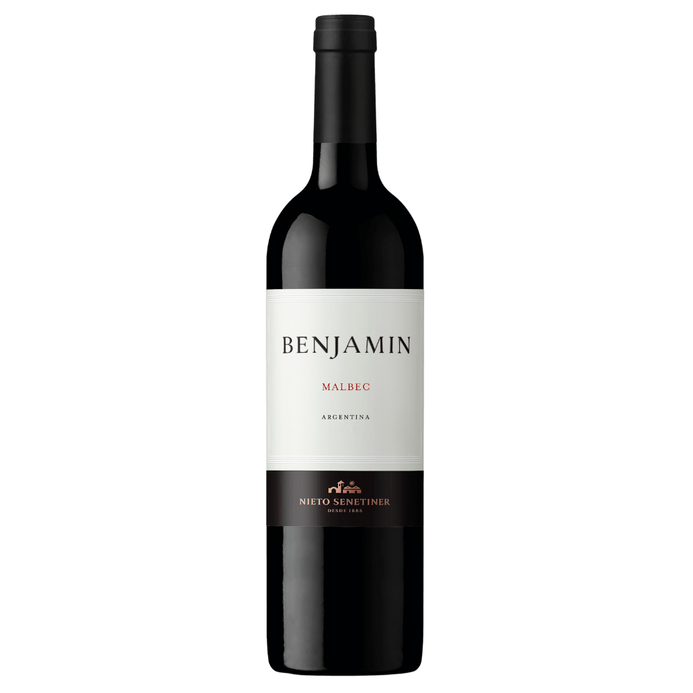 Vinho Tinto Argentino Benjamin Malbec
