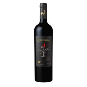 Vinho Tinto Chileno La Ronciere Cantoalba Classic Cabernet Sauvignon