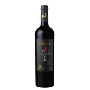 Vinho Tinto Chileno La Ronciere Cantoalba Classic Carménère
