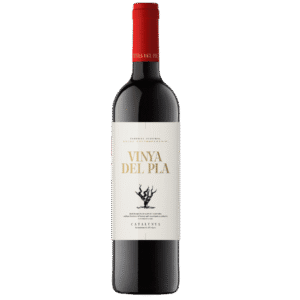 Vinho Tinto Espanhol Vinya Del Pla Catalunha