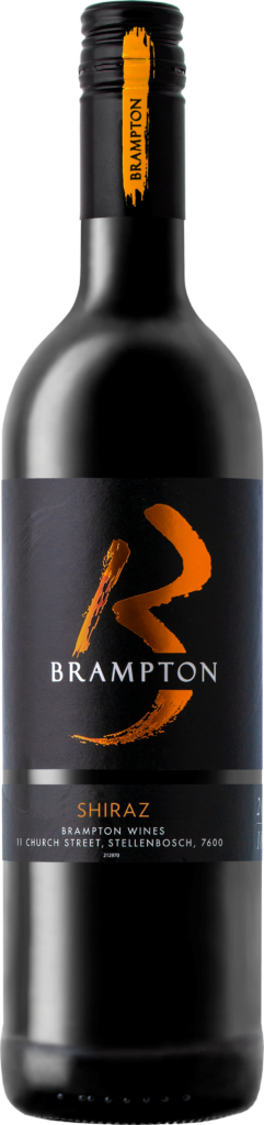 Vinho Tinto Sul-Africano Bramptom Shiraz